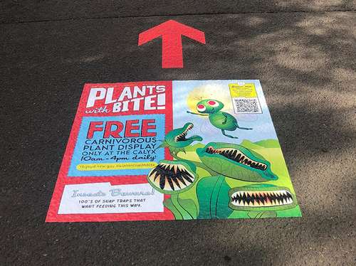Royal Botanic Garden Floor graphics